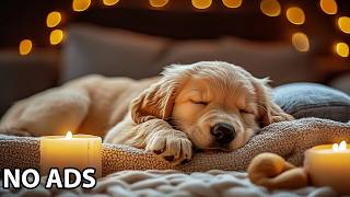 12 Hours Dog Anxiety Music 🎧 Dog Relaxation Music – Dog Calming Background Audio For Gentle Comfort screenshot 4