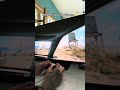 Cyberpunk 2077, Panam give me a drive #alienware #ps5 #gameday #cyberpunk #cyberpunk2077