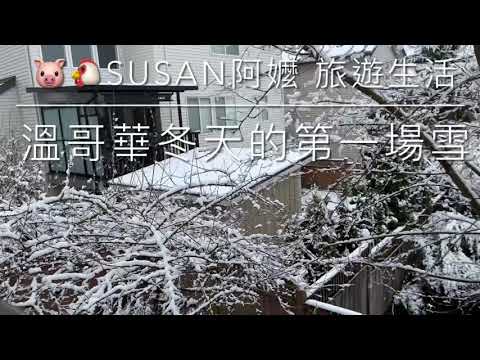 🇨🇦溫哥華今年入冬的初雪《🐷🐔Susan阿嬤 旅遊生活-75》