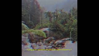 ⁣Seleksi Alam - Sekedar Cerita