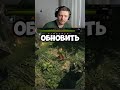 POE 2 ХАРДКОР И ПРОКЛЯТАЯ ОБЕЗЬЯНА  🙉🙉🙉 #poe2gameplay #poe2 #poe2live #wow #worldofwarcraft