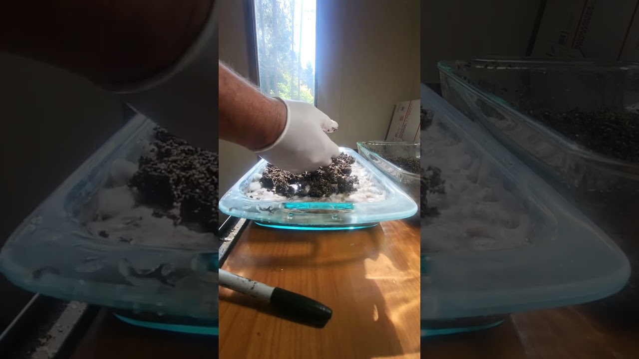 Casing some t1s and a bit of pertinent babble