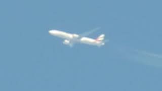 MVI 5555