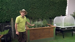 3 Hochbeete Im Vergleich Holz Hochbeet Oder Vegepod? Meine Ehrliche Erfahrung