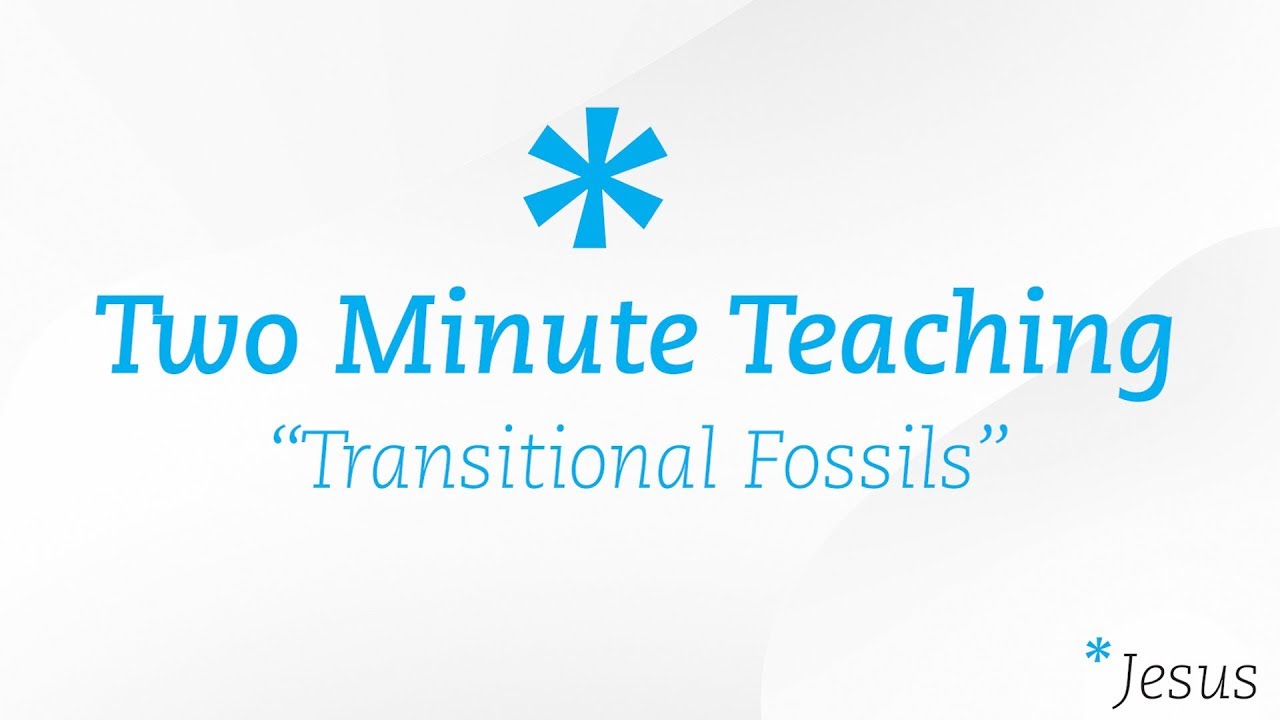 Transitional Fossils | Two Minute Teaching | Reasons for Hope - YouTube