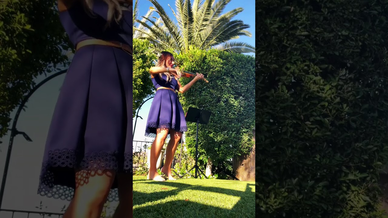 Dreamy wedding ceremony violin 