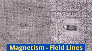 Magnetism - Field Lines | ThinkTac | DIY Science