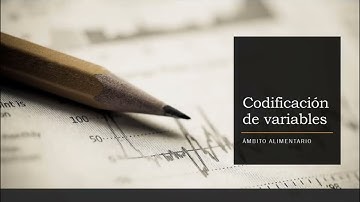 Codificación de variables para uso estadístico Excel