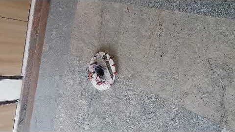 Autonomous Surface Cleaning Mobile Robot With Tiva-C Launch Pad