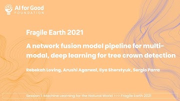 A network fusion model pipeline for multi-modal, deep learning for tree crown detection (FE2021S1P3)
