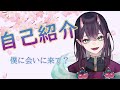 【自己紹介】僕に会いに来て?【新人Vtuber】