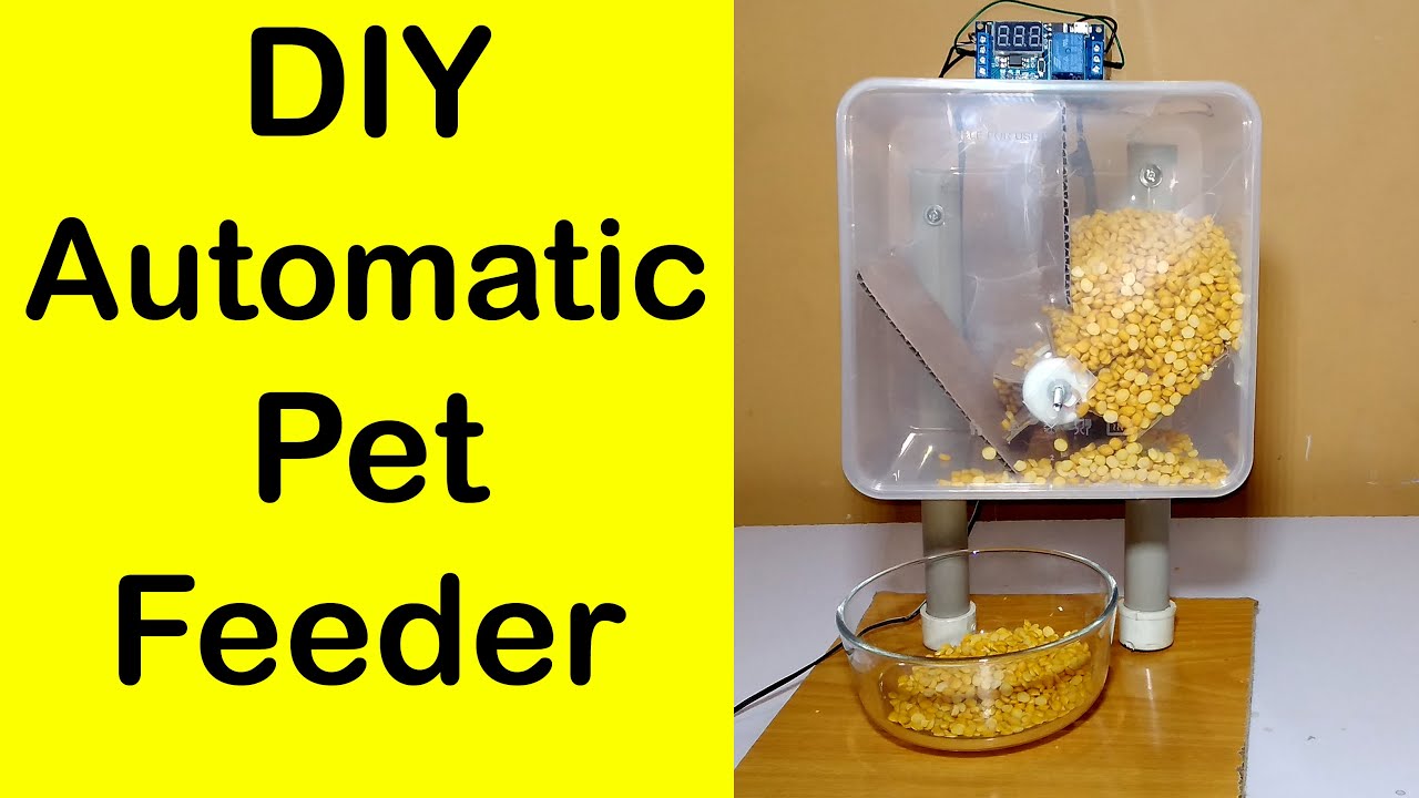 How to Make a DIY Automatic Dog Feeder