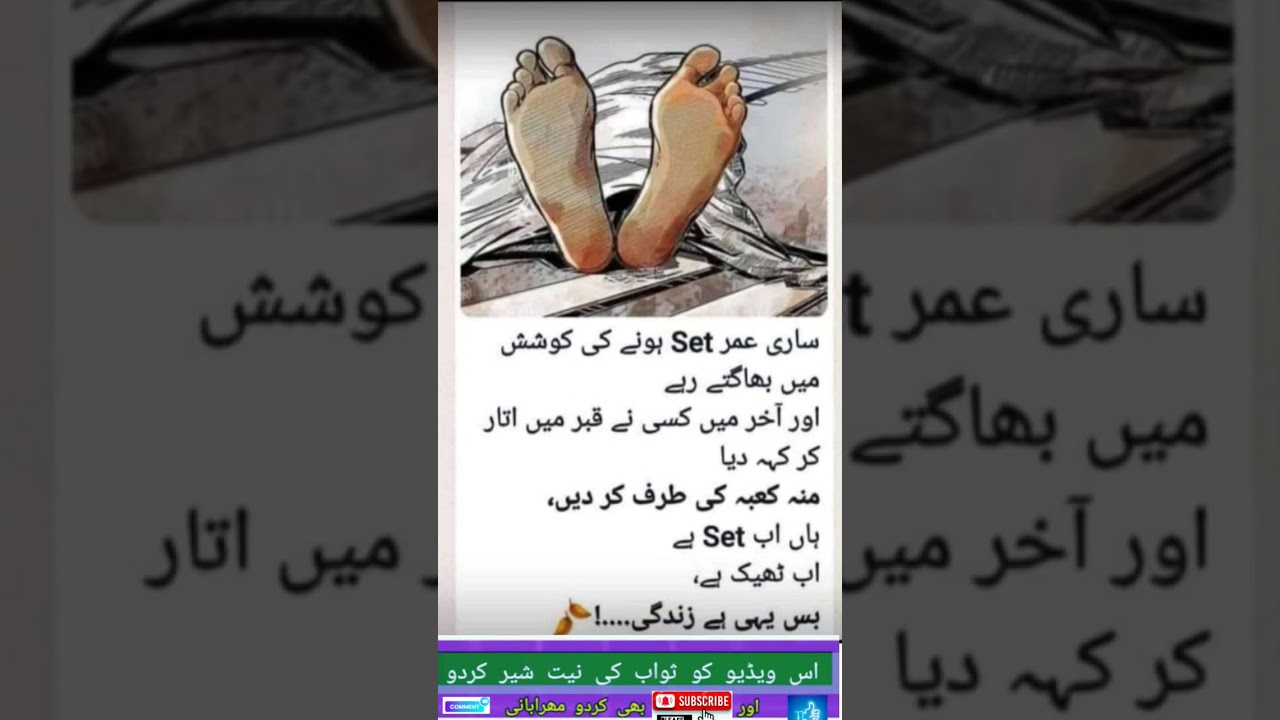 Best Islamic Quotes || Urdu Quotes ||🔥💯🤷