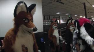 La Habra Furbowl March