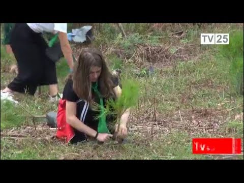 22 ოქტომბერი,  ხის დარგვის საერთაშორისო დღეა