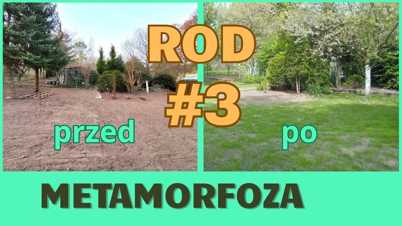 Najlepszy moment w remoncie działki – sianie trawy i efekt po czasie | metamorfoza ROD cz. 3