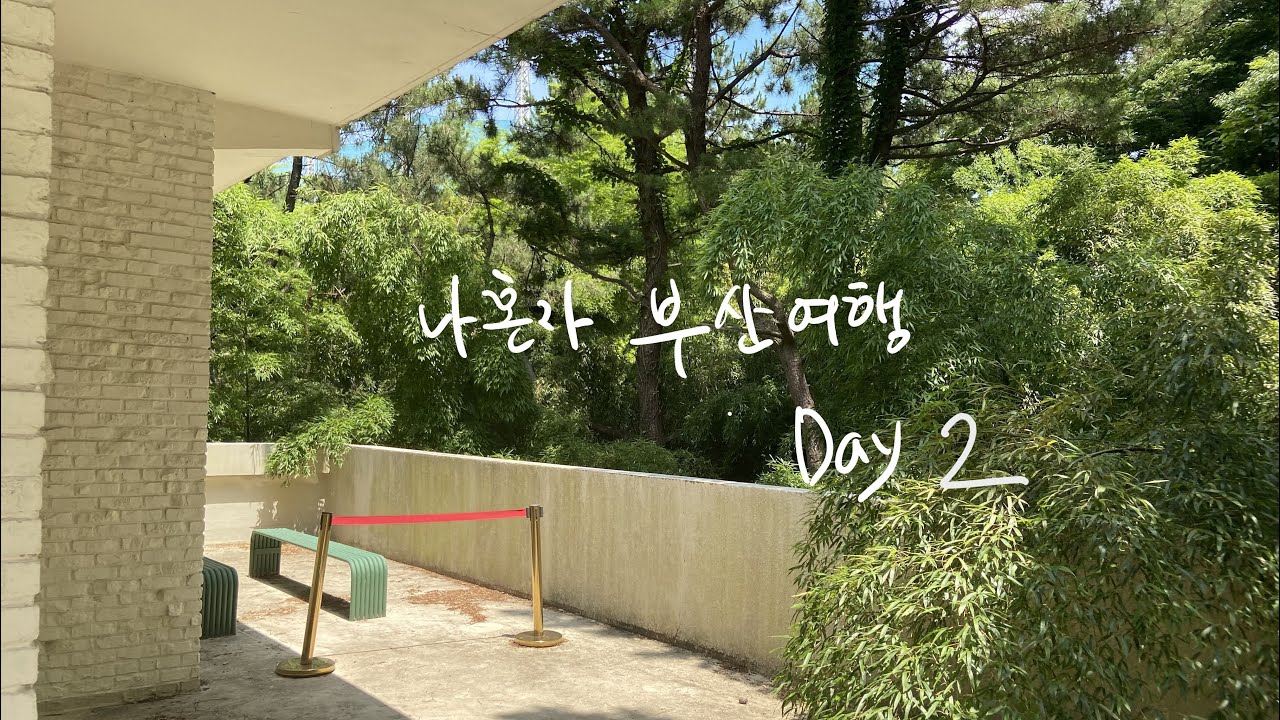 브이로그를 가장한 혼자 부산 먹방 여행💙(용궁사,동방밀면,신기숲카페,미도어묵,초량온당)