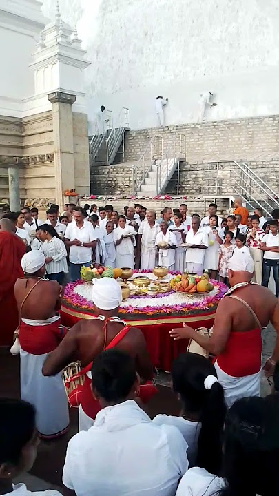 මහා සෑයේ පිංබර පිංකමක්🏵️🌺🙏A Pooja in Ruwanweli Mahasaye🏵️🌺🙏#ruwanweliseya #travel #shortvideo 🏵️🌺🙏