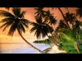 Carlos Campos y Su Orquesta - Danzon zacatlan (Instrumental)