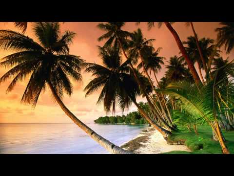 Carlos Campos Y Su Orquesta - Danzon Zacatlan (Instrumental)