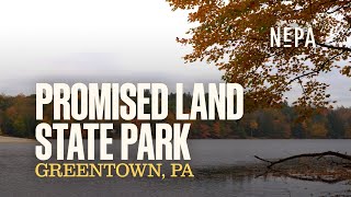 Promised Land State Park | Greentown, PA