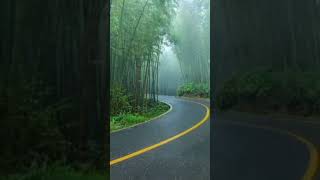 Rain wallpaper HD video