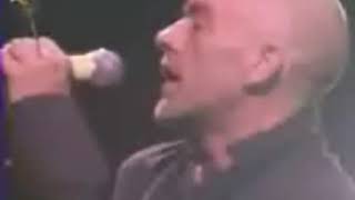 Celebrity R.E.M. Rock Werchter 2003 06 29 Profile