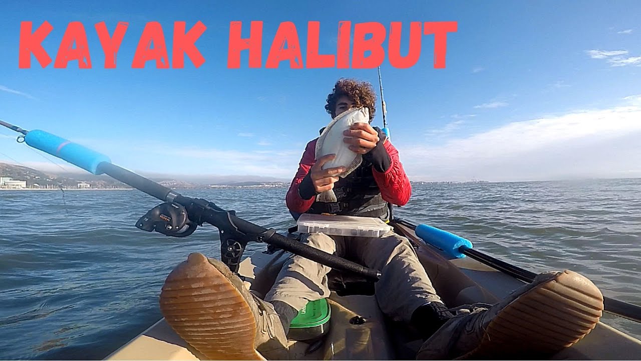 Halibut Fishing from Kayak and Losing a SHARK! YouTube