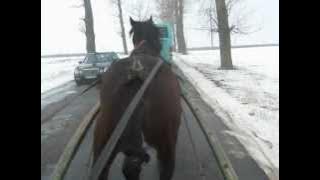 Cal trapas ulmu STICMAT