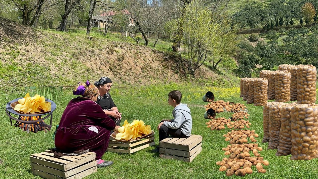БАБУШКА СОБРАЛА В ЛЕСУ КАРТОШКУ И ЖАРИЛА ЕГО С КУРИЦЕЙ
