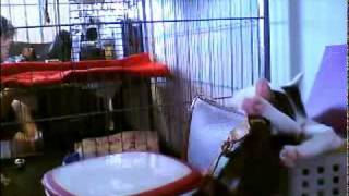 Twitviduae22 - Test Upload