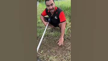 Máy cắt cỏ yamasu mạnh bền