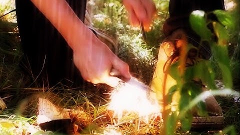 BUSHMEN trick - dry tinder in wet conditions