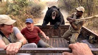 Craziest Animal Attacks Ever Caught On Camera | Amazing Animals