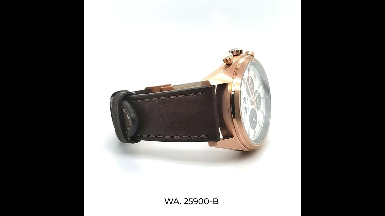 3D обзор наручных часов Wainer WA.25900-B