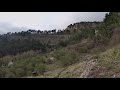 Весна в горах в 4К 60fps. Весенний футаж гор. Растительность в горах. Релакс-видео.