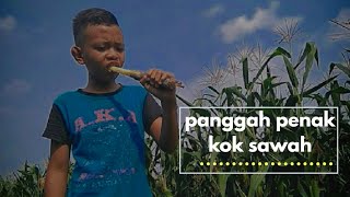 Status wa lucu..#Dagelan jowo..