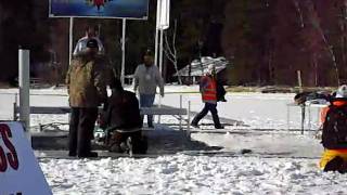 Polar Plunge