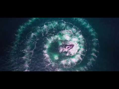 Sieben Kontinente - Ein Planet - Preview [HD] Deutsch / German