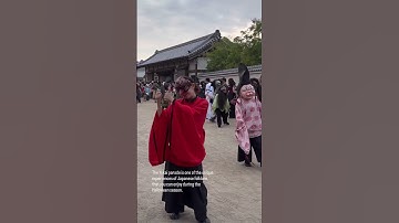 Yokai parade—Kyoto Japan