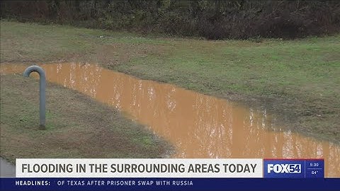 Why do roads get slippery when it rains