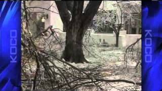 Preparing Your Yard For Winter