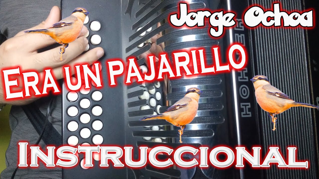 #INSTRUCCIONAL Era un pajarillo en Acordeón de Sol Fácil con arreglos