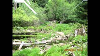 Bigfoot investigation - Thermal camera traps June 2014