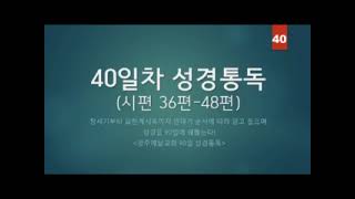 90일 성경통독 40일차 시3648