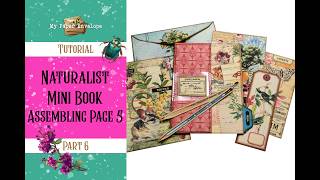 Natural History Mini Book Vol 2-Part 6-Assembling the Page 5-Tutorial @MyPaperEnvelope