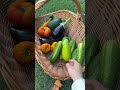 ABUNDANT garden harvest #gardening #gardenharvest #vegetables #homegardening