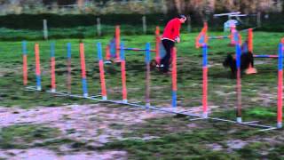 Hugo and Kissy - 22 Trofeu Agility No Stress December - A3 Jumping
