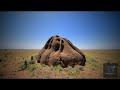 The Incredible Truth About Termite Mounds: Nature's Hidden Architects