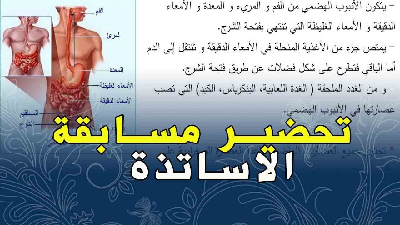 كتب رائعة لتحضير مسابقة الاساتذة